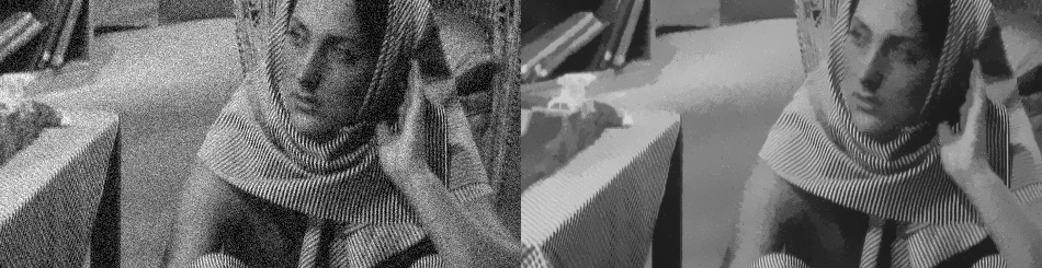 Dual-constrained total variation crop from the previous website